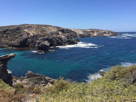 Rottnest Island Tour From Perth Or Fremantle Including Bus Tour - Accommodation Ballina 3