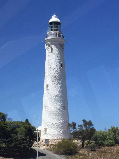 Rottnest Island Tour From Perth Or Fremantle Including Bus Tour - Accommodation Ballina 2