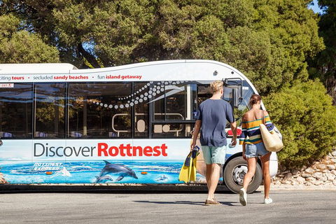 Rottnest Island Tour From Perth Or Fremantle Including Bus Tour - Accommodation Ballina 0