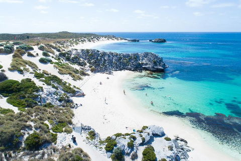 Rottnest Island Tour From Perth Or Fremantle Including Bus Tour - Accommodation Ballina 1