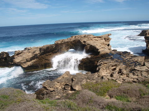 Rottnest Island Tour From Perth Or Fremantle Including Bus Tour - Accommodation Ballina 5