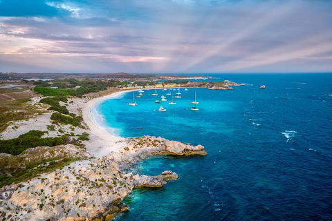 Rottnest Island Tour From Perth Or Fremantle Including Bus Tour - Accommodation Ballina 8