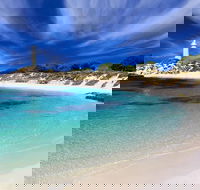 Rottnest Island Grand Tour Including Lunch and Historical Train Ride - Accommodation Ballina