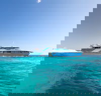 Fremantle to Rottnest Island Roundtrip Ferry Ticket - Accommodation Ballina