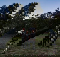 Stargazing Busselton with Mobile Observatory - Accommodation Ballina