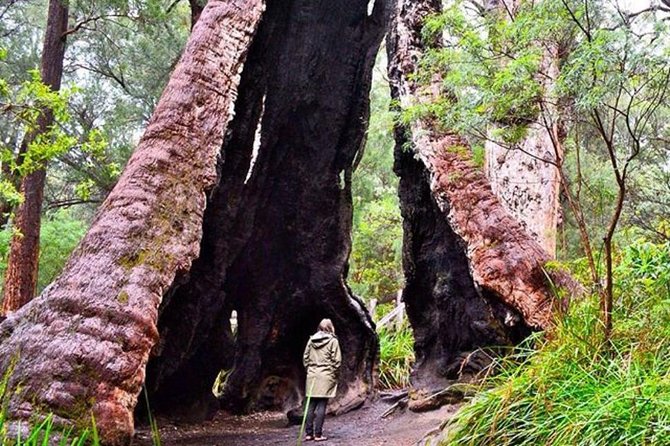 Day Trip Kerewong NSW Accommodation Ballina