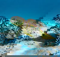 Turtle and Reef Adventure - Accommodation Ballina