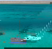 Whale Shark Swim by Catamaran in Shoulder Season - Accommodation Ballina