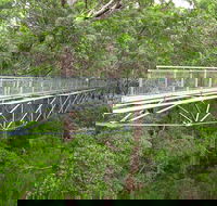 Albany Southwest Wilderness Day Tour - Fly From Perth - Accommodation Ballina