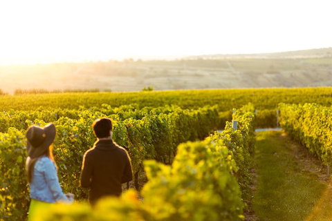 Margaret River Private Tour - Accommodation Ballina 2