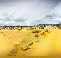 1 Day Pinnacles Wildlife  Sandboarding - Accommodation Ballina