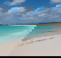 Pink Lake and Abrolhos Full Day Fly and Flipper - Accommodation Ballina