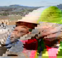 Mine To Mint Tour - Accommodation Ballina