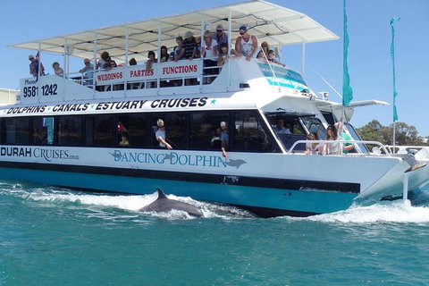 Mandurah Dolphin And Scenic Marine Cruise - Accommodation Ballina 1