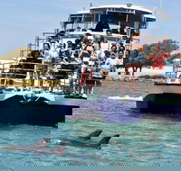 Mandurah Dolphin and Scenic Marine Cruise - Accommodation Ballina