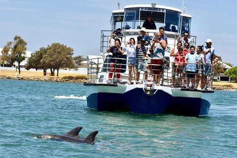 Mandurah Dolphin And Scenic Marine Cruise - Accommodation Ballina 0
