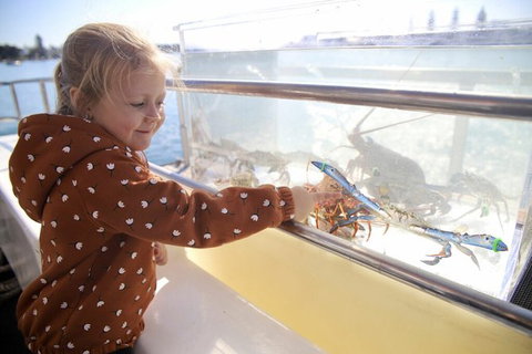 Mandurah Dolphin And Scenic Marine Cruise - Accommodation Ballina 5