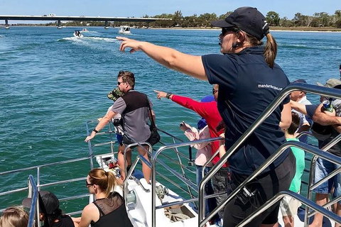 Mandurah Dolphin And Scenic Marine Cruise - Accommodation Ballina 19