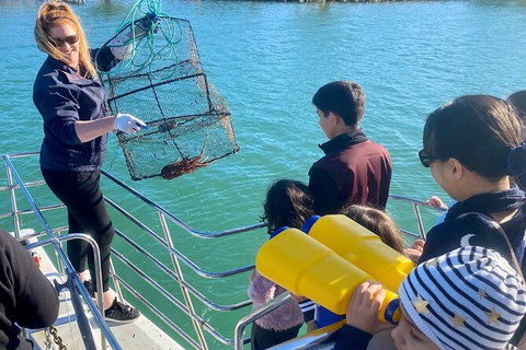 Mandurah Dolphin And Scenic Marine Cruise - Accommodation Ballina 18