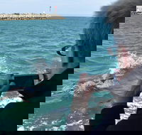 Mandurah Dolphin Island Adventure - Accommodation Ballina