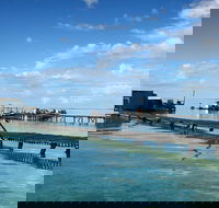 Full Day Guided Abrolhos Fly and Flipper Tour from Geraldton - Accommodation Ballina