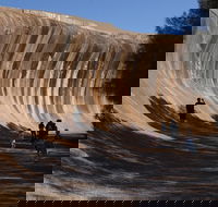 Wave Rock Pinnacles and Rottnest One Day Aeroplane Tour - Accommodation Ballina