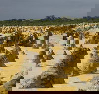 Pinnacles Desert Scenic Flight and Ground Tour - Accommodation Ballina