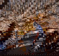 Margaret River and Geographe Bay Region Day Trip from Perth - Accommodation Ballina