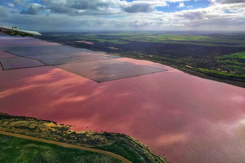 Kalbarri, Pink Lake And Abrolhos Islands Nature Tour - Accommodation Ballina 3