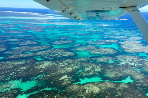 Kalbarri, Pink Lake And Abrolhos Islands Nature Tour - Accommodation Ballina 5