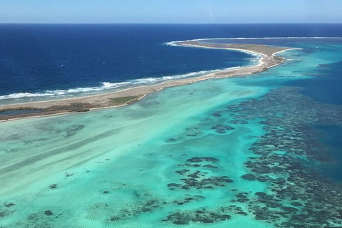 Kalbarri, Pink Lake And Abrolhos Islands Nature Tour - Accommodation Ballina 2