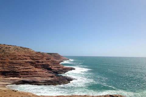 Kalbarri, Pink Lake And Abrolhos Islands Nature Tour - Accommodation Ballina 1