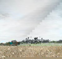 Electric Bike Winery and Brewery Tour - Accommodation Ballina