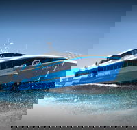 Rottnest Island Day Tour with Wild Seafood Banquet Cruise - Accommodation Ballina