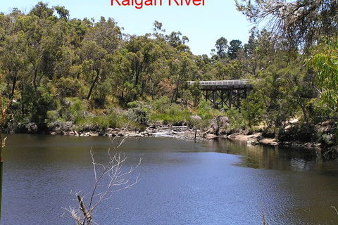 Kalgan Queen Scenic Cruises A Four Hour Sheltered Water Wildlife Tour Daily Fun. - Accommodation Ballina 3