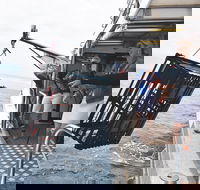 Rottnest Island Wild Seafood Package from Perth with Transfer - Accommodation Ballina