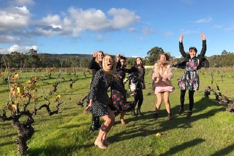 VW Kombi Food, Wine And More Tour (bring The Kids!) - Accommodation Ballina 3