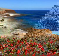 Cape to Cape End-to-End 8 Day Walking Experience - Accommodation Ballina