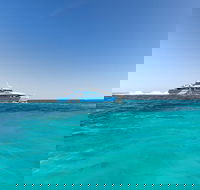 Rottnest Island Settlement Explorer Segway Package from Fremantle - Accommodation Ballina