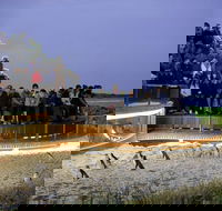 1 Day Private Phillip Island Tour VIP Charter up to 9 People - Accommodation Ballina