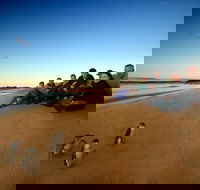 Phillip Island Ultimate Penguin Eco Tour or Skybox Experience - Accommodation Ballina