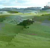 Day Tour of Phillip Island  Surrounding Region - Accommodation Ballina