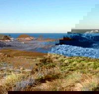 Phillip Island Walking  Bird Watching Tour - Accommodation Ballina