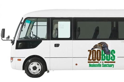HEALESVILLE SANCTUARY ZOOBUS - MELBOURNE CITY RETURN - Accommodation Ballina 1