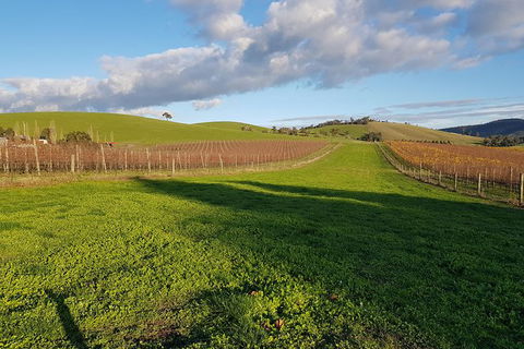 Yarra Valley Winery Private Tour - Accommodation Ballina 1