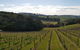 Yarra Valley Winery Private Tour - thumb 0