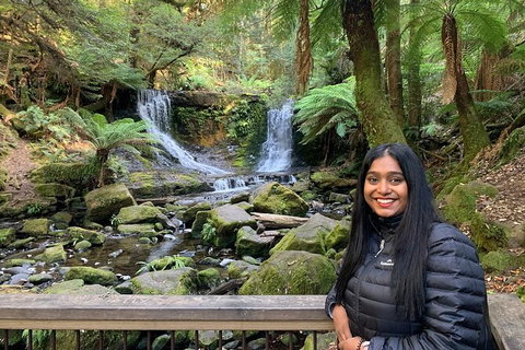 Day Tour In Mt. Field, Mt. Wellington, Bonorong Wildlife Sanctuary And Richmond - Accommodation Ballina 4