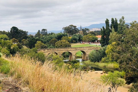 Day Tour In Mt. Field, Mt. Wellington, Bonorong Wildlife Sanctuary And Richmond - Accommodation Ballina 6