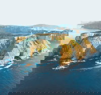 3-Hour Tasman Peninsula Wilderness Cruise from Port Arthur - Accommodation Ballina