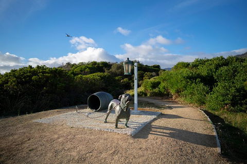 Cruise Ship Special From Port Arthur: Explore Tasman Peninsula With Free WiFi - Accommodation Ballina 9